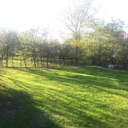 Green Nest Băneşti Eksteriør bilde